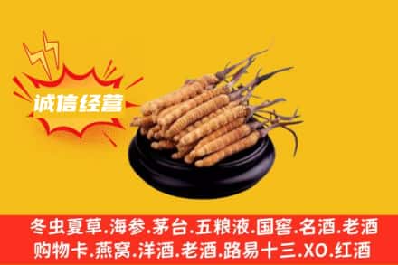 南京市江宁回收冬虫夏草
